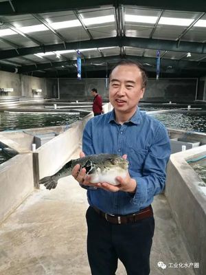 想要魚養(yǎng)得好,原來選個(gè)燈都那么重要