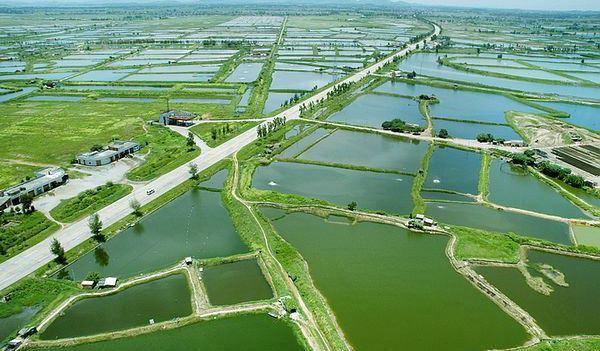最好就業(yè)的農林牧漁大類十大專業(yè)