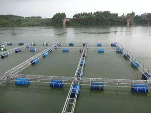 飼料丨300萬噸飼料市場競爭地圖 通威 海大博弈多年,將是飼料價格戰最慘烈的市場