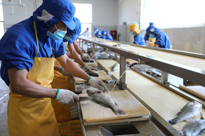 珠海水產養殖業全面復工復產 創新水產方便菜成&ldquo;網紅&rdquo;