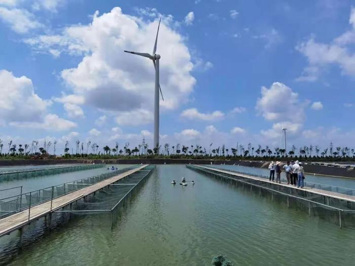 18000多畝標準化養殖池塘,專注高品質草魚、鯽魚、鮰魚養殖!現代化水產養殖企業誠邀技術員