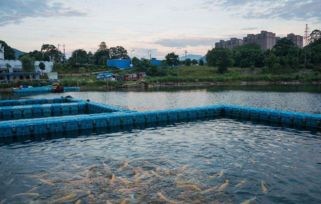 浙江省湖州市 調(diào)研水產(chǎn)飼料企業(yè)和漁業(yè)養(yǎng)殖尾水治理工作