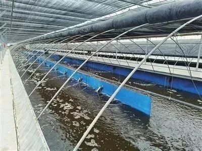 &ldquo;科技小院&rdquo;創(chuàng)新科技幫扶三農(nóng)新模式 服務(wù)銀川&ldquo;六特&rdquo;產(chǎn)業(yè)高質(zhì)量發(fā)展