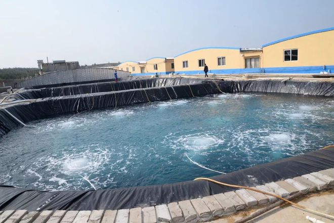 水產界女CEO花25年打造飼料、蝦苗、動保小產業鏈 !如今她聘請泰國專家、聯手正大,發力蝦苗板塊 | 尋找中國好蝦苗