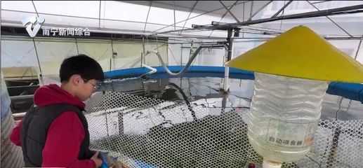 南寧市發(fā)展特色養(yǎng)殖,賦能鄉(xiāng)村振興