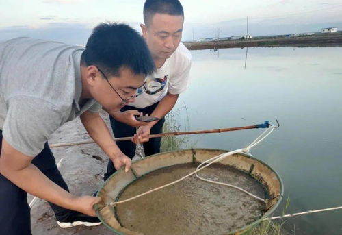 這個生態(tài)養(yǎng)殖模式,厲害了 年產量達30多萬斤,產值1200萬元