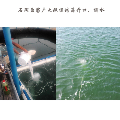 小球藻柵藻營養(yǎng)鹽快速穩(wěn)定擴(kuò)培