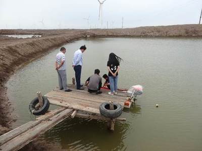 &ldquo;?；Y&rdquo;突襲對蝦產業 黃海所專家赴一線排憂解難