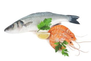 青企打造水產(chǎn)養(yǎng)殖云服務平臺