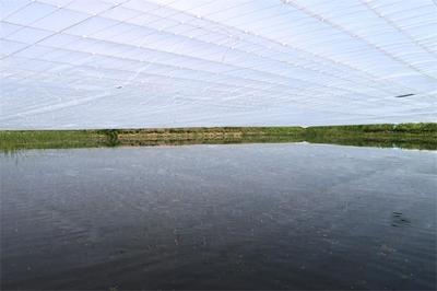 伊通滿族自治縣人民政府