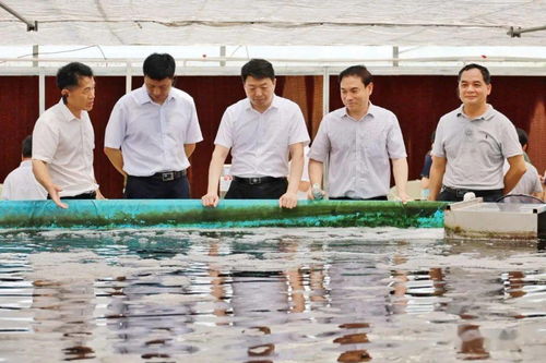 農(nóng)業(yè)農(nóng)村部部署推進(jìn)水產(chǎn)綠色健康養(yǎng)殖技術(shù)推廣 五大行動