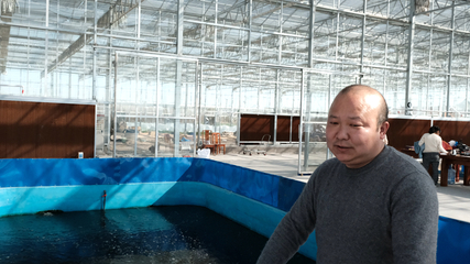 養魚不換水 種菜不施肥 一水雙收效益高