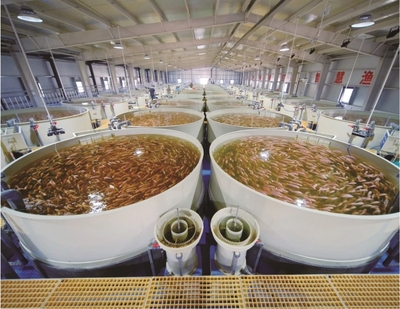 山東省大數(shù)據(jù)局 棗莊 數(shù)據(jù)要素&times;丨嶧城區(qū)古邵鎮(zhèn):數(shù)據(jù)賦能 打造智慧化水產(chǎn)養(yǎng)殖新模式