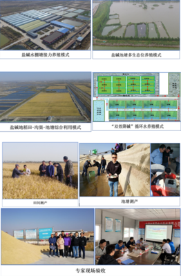 中國(guó)水產(chǎn)科學(xué)研究院東海所牽頭的藍(lán)色糧倉(cāng)重點(diǎn)專項(xiàng)課題&ldquo;鹽堿水質(zhì)綜合改良調(diào)控技術(shù)研發(fā)與養(yǎng)殖模式構(gòu)建&rdquo;開(kāi)展2020年度現(xiàn)場(chǎng)驗(yàn)收