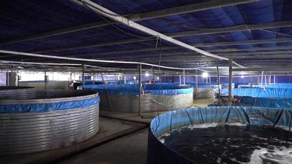 武漢海鮮陸?zhàn)B項目開工 年產(chǎn)石斑魚超50萬斤，推動水產(chǎn)養(yǎng)殖技術(shù)研發(fā)