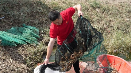 內(nèi)陸海鮮的奇跡 一師阿拉爾市水產(chǎn)養(yǎng)殖技術(shù)創(chuàng)新引領(lǐng)市場熱潮