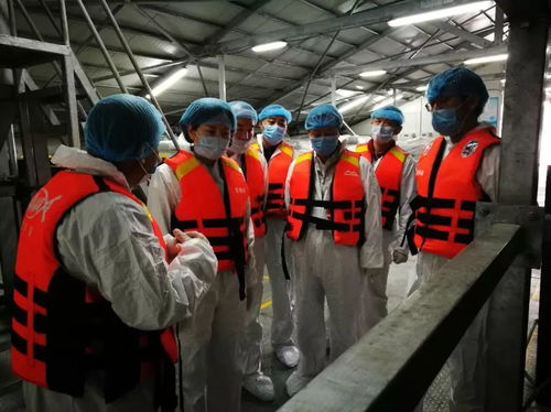 青海省冷水魚養(yǎng)殖質(zhì)量安全與技術(shù)發(fā)展調(diào)研紀(jì)實