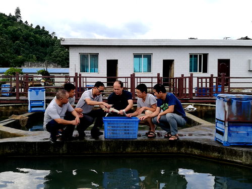 依托青山綠水 貴州特色水產(chǎn)體系的多重效益與技術(shù)研發(fā)