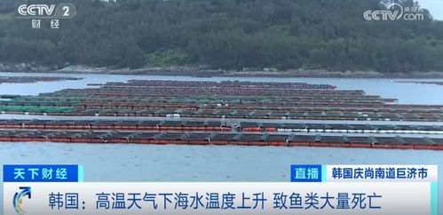 損失超1.5億元！魚類大量死亡重創水產養殖業，技術研發迫在眉睫